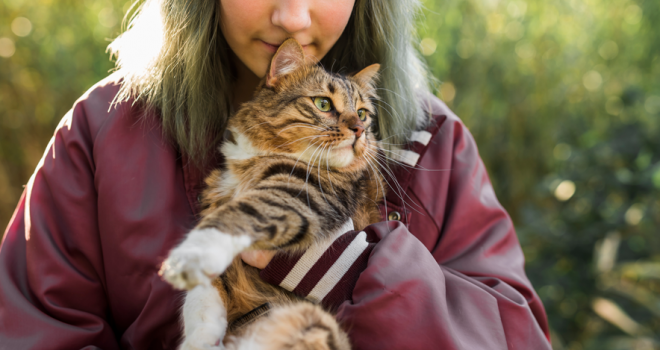 Estudo: Gatos são sensíveis às emoções de seus tutores